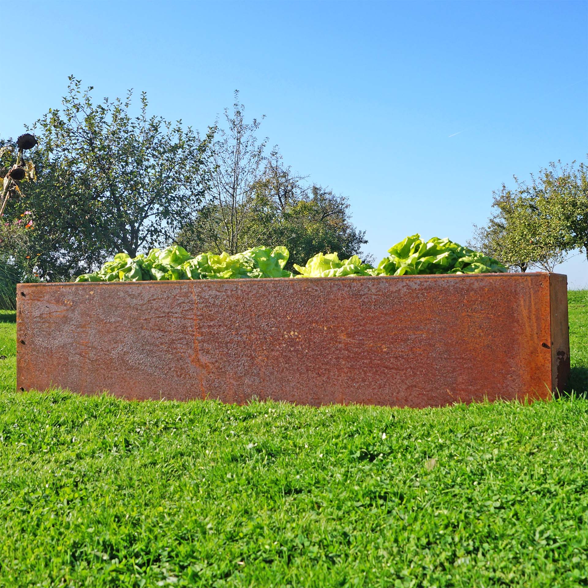 Prima Terra Edelrost Hochbeet Planus Prima Terra Edelrost Hochbeet Planus