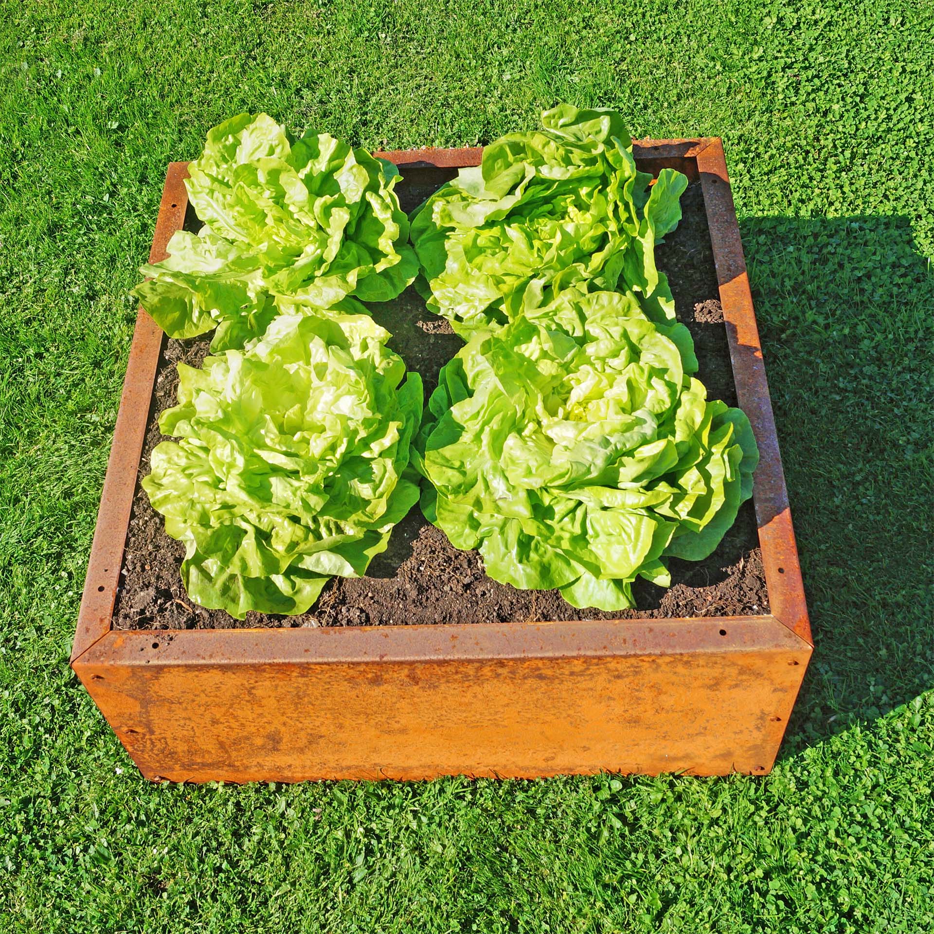 Prima Terra Edelrost Hochbeet Planus