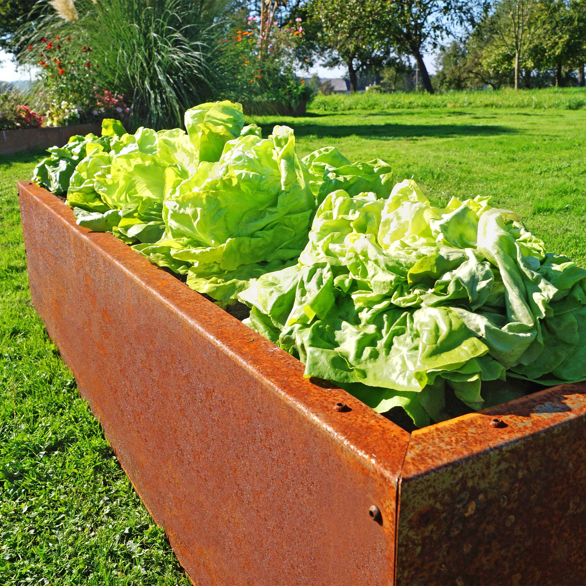 Prima Terra Edelrost Hochbeet Planus Prima Terra Edelrost Hochbeet Planus