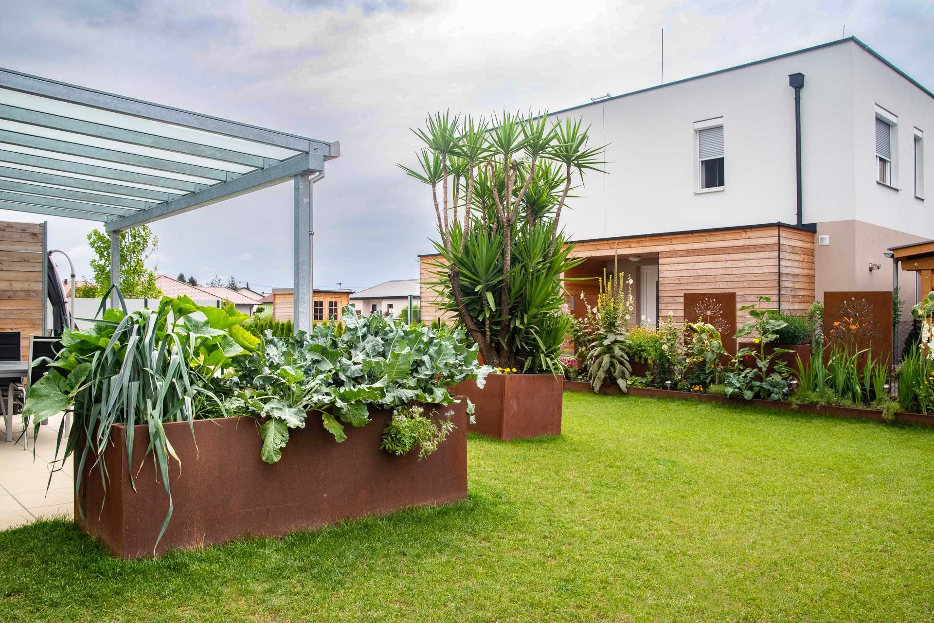 Moderner Hausgarten mit Hochbeeten aus Cortenstahl, bepflanzt mit Gemüse und Palmen, neben einem neuen Einfamilienhaus mit Holzelementen Moderner Garten mit rechteckigen Hochbeeten aus rostfarbenem Stahl, bepflanzt mit Gemüse und Palmen, vor weißem Einfamilienhaus mit Holzfassade und Pergola