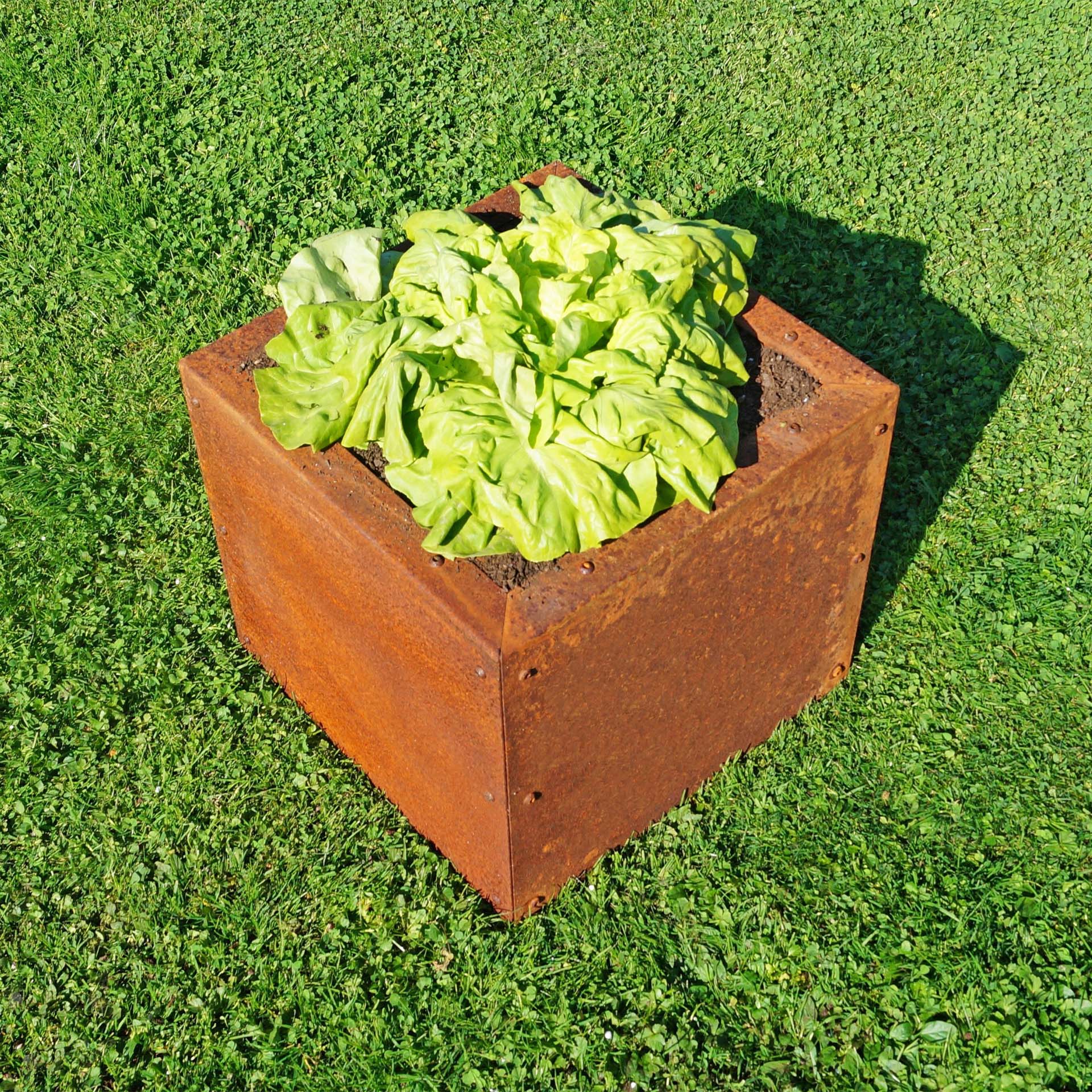 Prima Terra Edelrost Hochbeet Planus Prima Terra Edelrost Hochbeet Planus