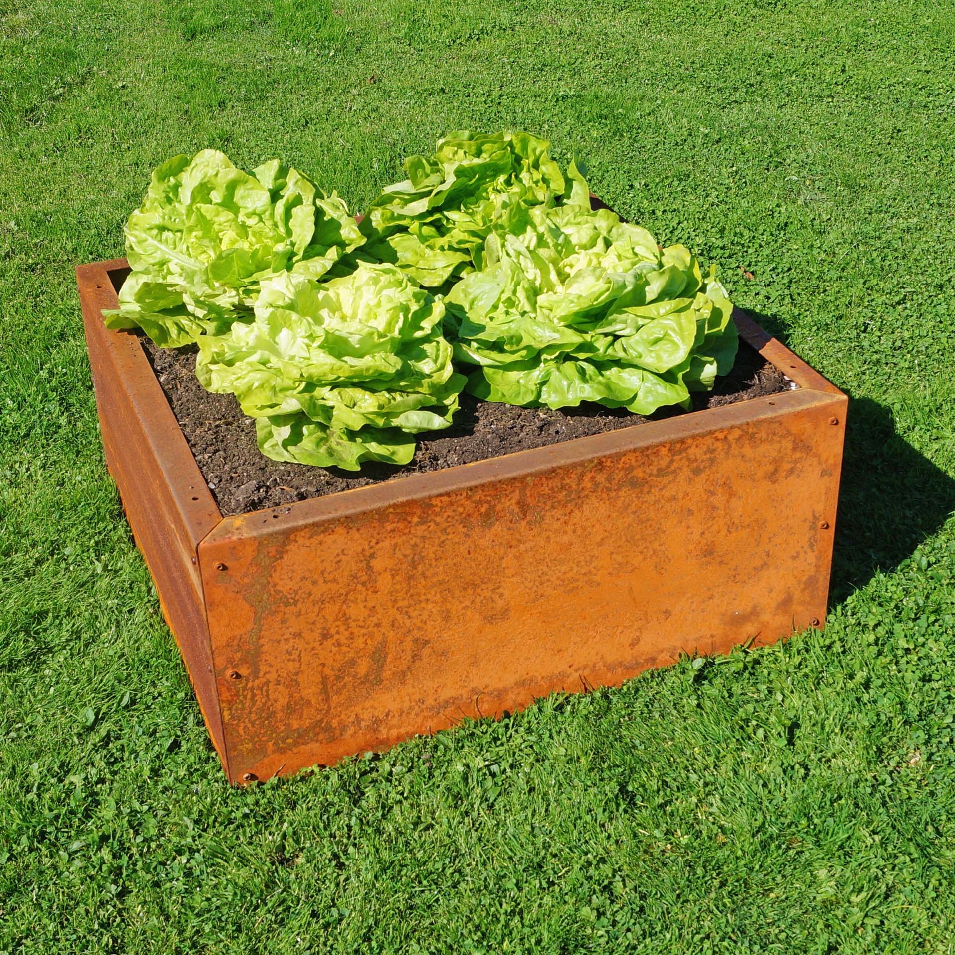 Prima Terra Edelrost Hochbeet Planus Prima Terra Edelrost Hochbeet Planus