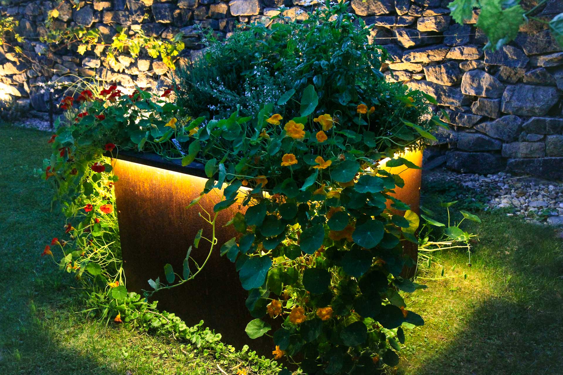 Beleuchteter moderner Pflanzkübel aus Metall mit vielfältigen grünen Pflanzen und gelben, roten Blüten vor einer Steinmauer im Garten