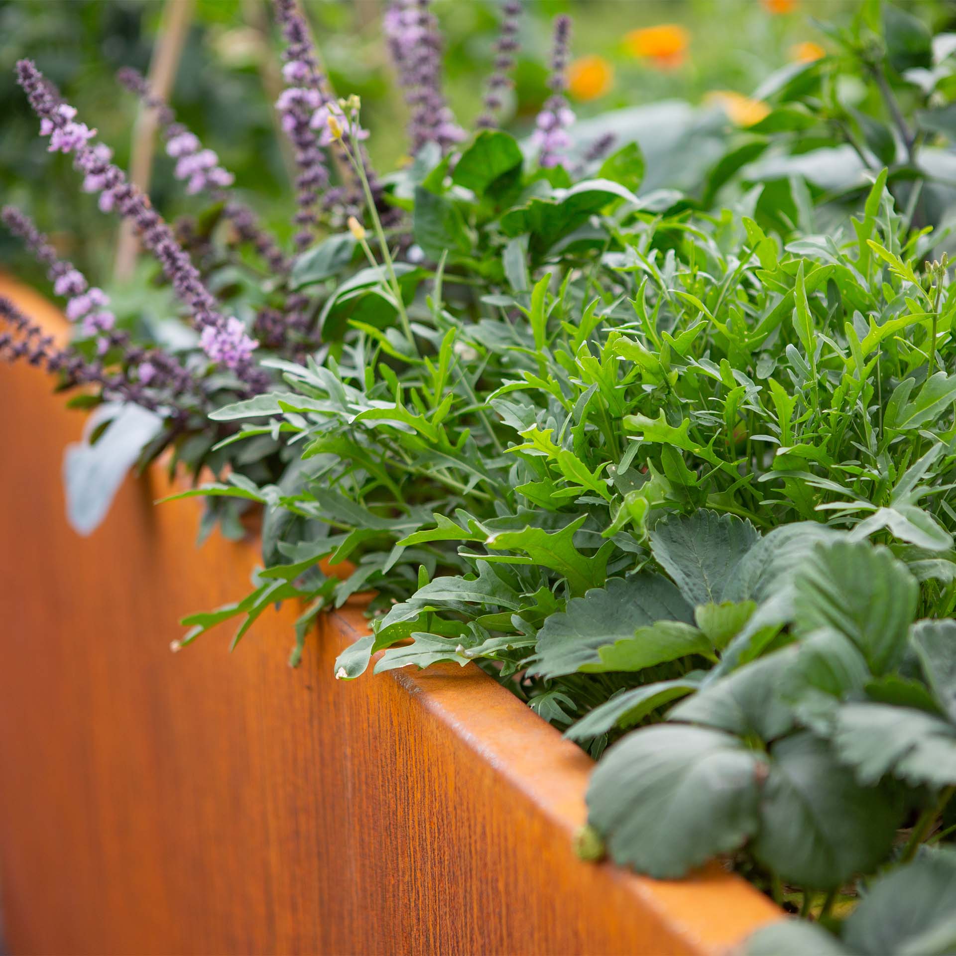 Alle Produkte Alle Produkte