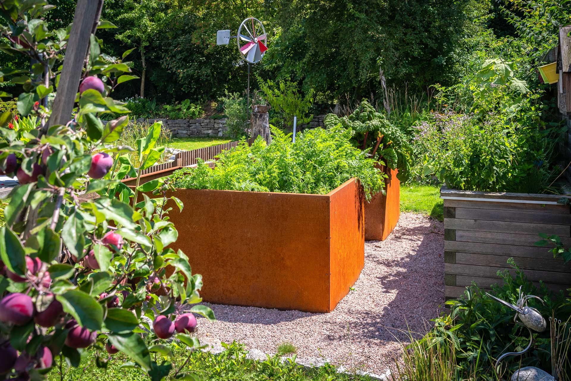 Garten mit Hochbeeten aus rostigem Cortenstahl, bepflanzt mit frischem Gemüse, umgeben von Obstbäumen und grünen Pflanzen
