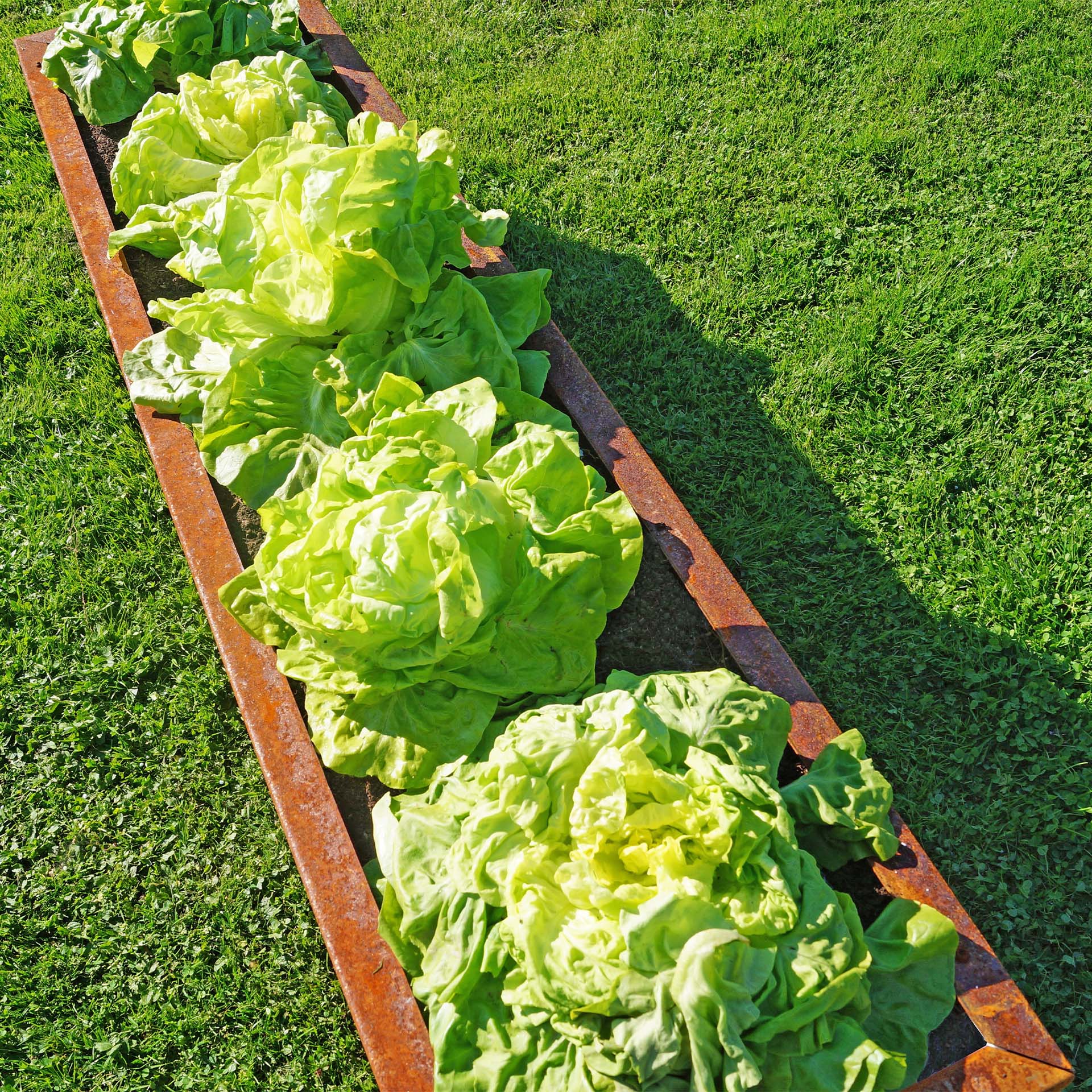 Prima Terra Edelrost Hochbeet Planus