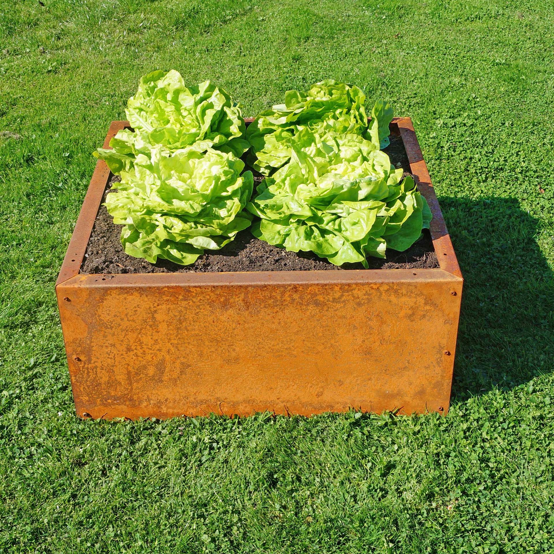 Prima Terra Edelrost Hochbeet Planus Prima Terra Edelrost Hochbeet Planus