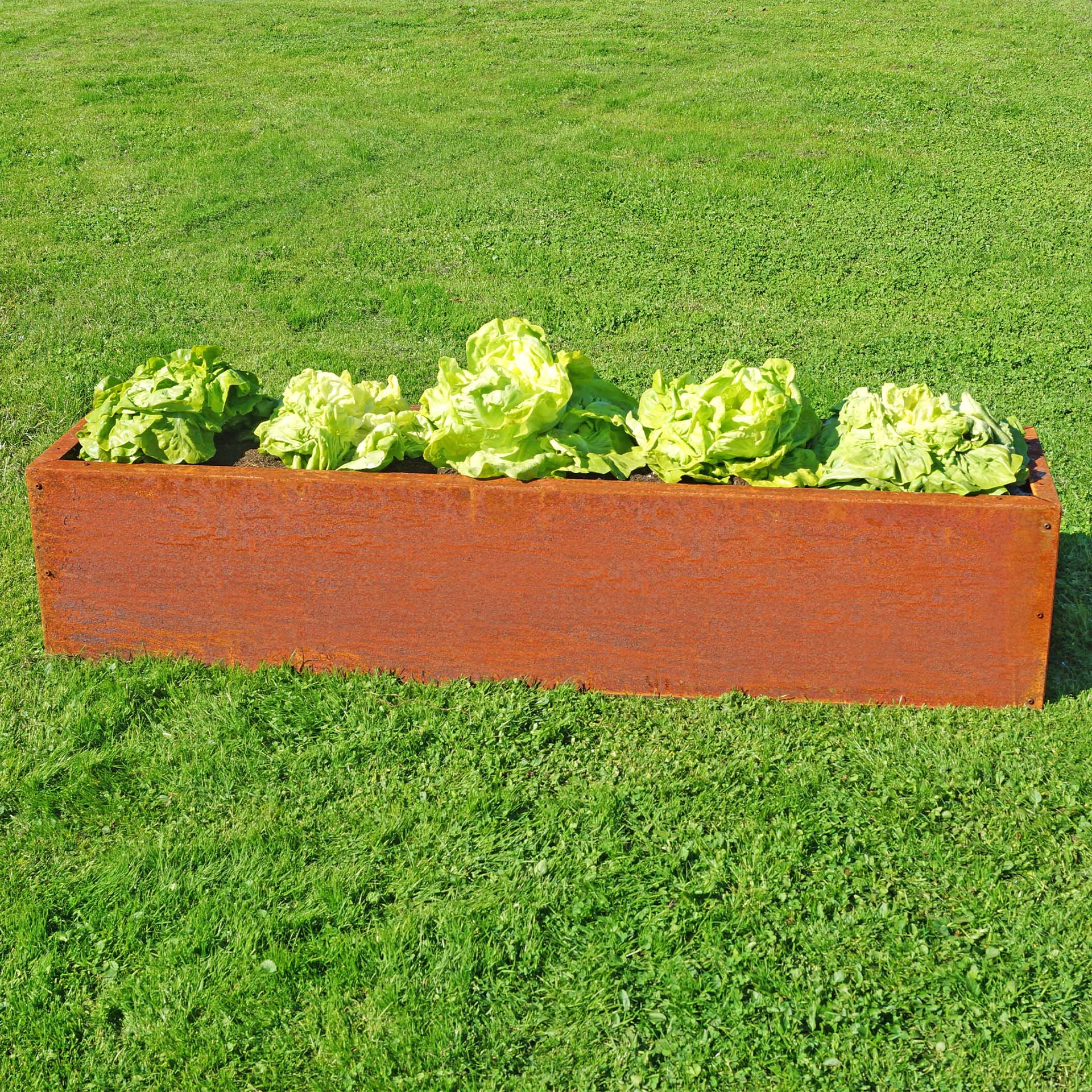 Prima Terra Edelrost Hochbeet Planus Prima Terra Edelrost Hochbeet Planus