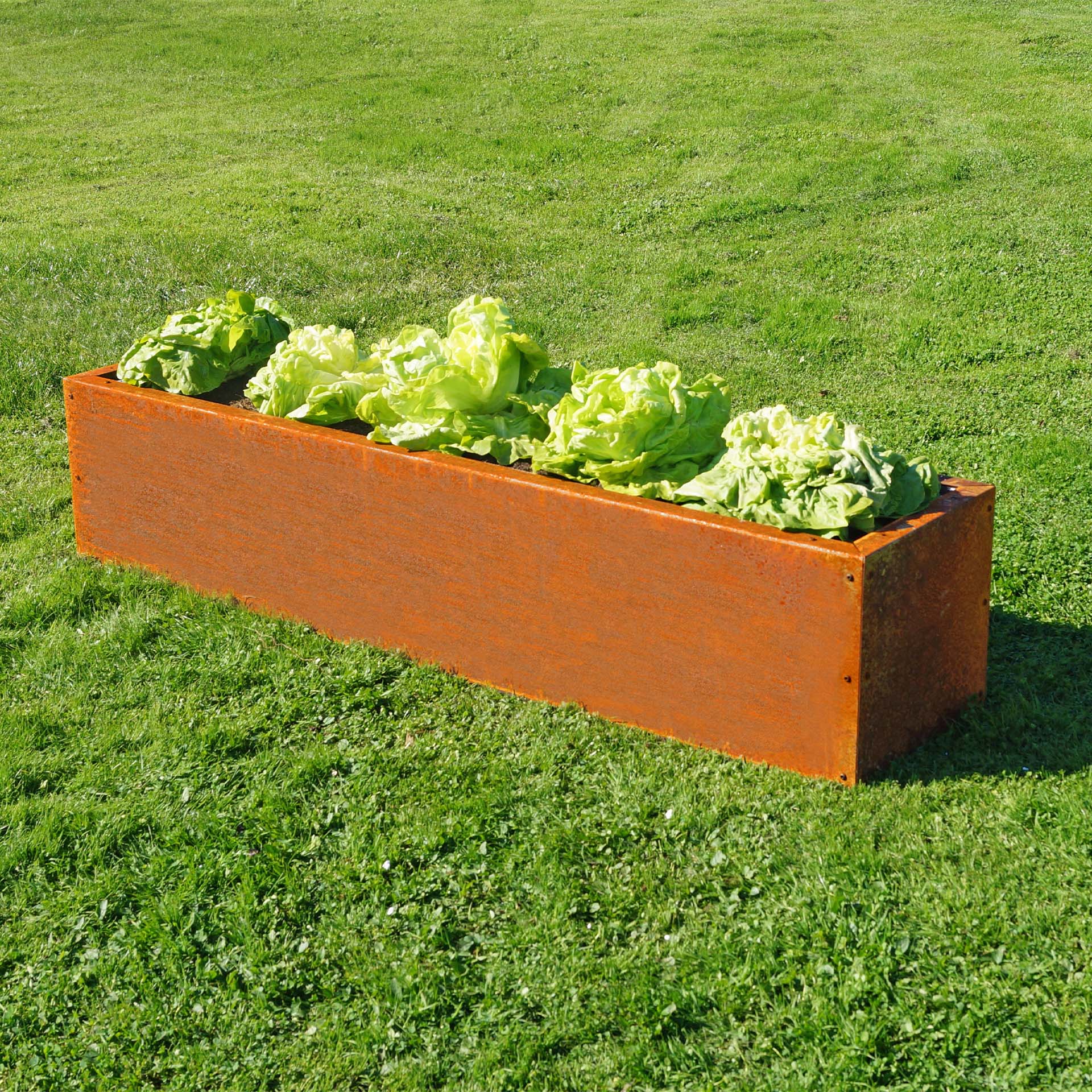 Prima Terra Edelrost Hochbeet Planus Prima Terra Edelrost Hochbeet Planus