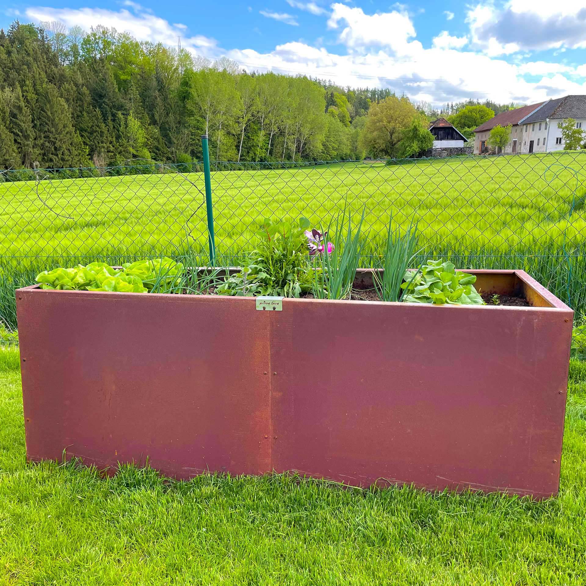 meinegartenfreude-prima-terra-unique-hochbeet-metall-rost-beispiel-13